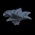 Terrain_Plant_Groundcover_09.png