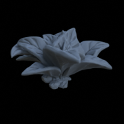Terrain_Plant_Groundcover_09.png