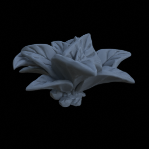 Terrain_Plant_Groundcover_09.png