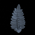 Terrain_Plant_Fern_01.png
