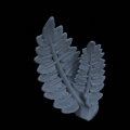 Terrain_Plant_Fern_05.png
