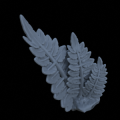 Terrain_Plant_Fern_06.png