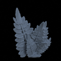 Terrain_Plant_Fern_09.png