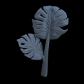 Mostera01_v2.png