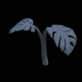 Mostera02_v2.png