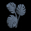 Mostera04_v2.png