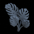 Mostera05_v2.png