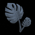 Mostera06_v2.png