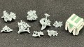 99160124_Oxalis.jpg