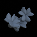 Oxalis_clover_02_Small_Supportless.png