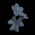 Oxalis_clover_04_Small_Supportless.png