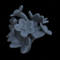 Oxalis_clover_05_Small_Supportless.png