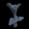 Terrain_Plant_Peperomia_3.png