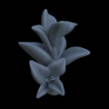 Terrain_Plant_Peperomia_4.png