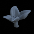 Terrain_Plant_Peperomia_5.png