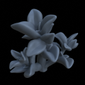 Terrain_Plant_Peperomia_9.png