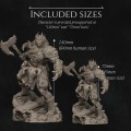 Sizes.jpg