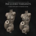 Variants.jpg