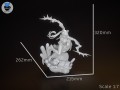 Pulchra_Measurments.jpg