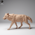 35130459_Mongolian Wolf Walk 4.png