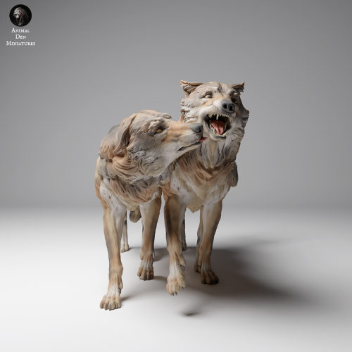 35130461_Mongolian Wolves Playing 1.png