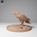 35130536_Golden Eagle Stand 2.png