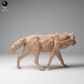 35130459_Mongolian Wolf Walk 2.png