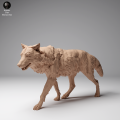 35130459_Mongolian Wolf Walk 3.png
