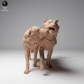 35130461_Mongolian Wolves Playing 4.png
