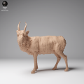 35130623_Mongolian Saiga Male 4.png