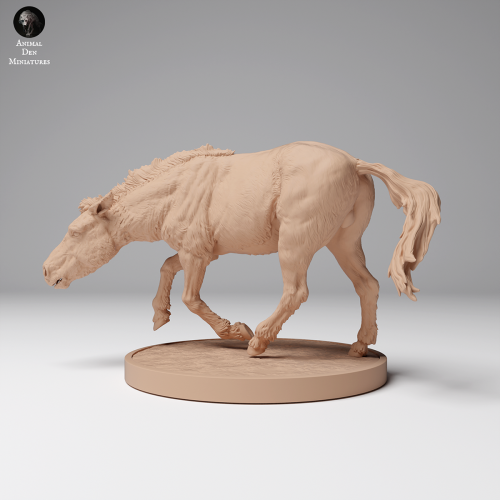 35130708_Przewalskis Horse Run 2.png