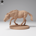 35130708_Przewalskis Horse Run 4.png