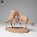 35130710_Przewalskis Horses Fight 4.png