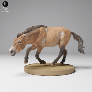 Przewalski Horse - Male running - 1 piece - 1:48