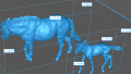 35130709_Przewalskis Horse Female and Calf 5.png