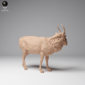 35130623_Mongolian Saiga Male 3.png
