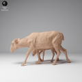 35130625_Mongolian Saiga Female and Calf 2.png