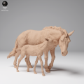 35130709_Przewalskis Horse Female and Calf 4.png