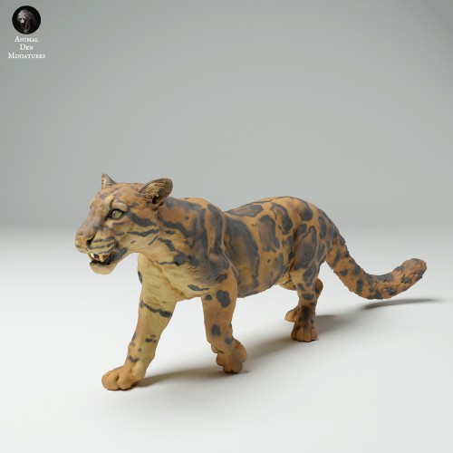 35130715_Clouded Leopard Walk 1.jpg