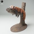 35130717_Red Panda Tree 1.jpg