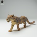 35130715_Clouded Leopard Walk 1.jpg