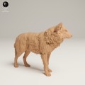 35130462_Grey Wolf Stand_3.jpg