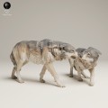 35130463_Grey Wolves Aggresive 1.jpg