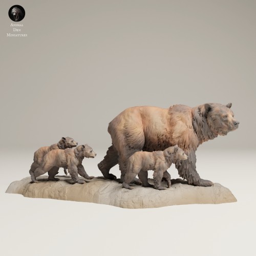 35130628_Grizzly Family 3.jpg