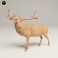 35130629_Rocky Mountain Elk Bugle 2.jpg