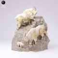 35130718_Rocky Mountain Goat Cliffs 1.jpg