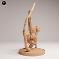 35130721_Sumatran Orangutan on Tree 2.png