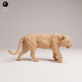 35130726_Sumatran Tiger Walk 2.png