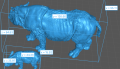 35130724_Sumatran Rhino with Calf 5.png