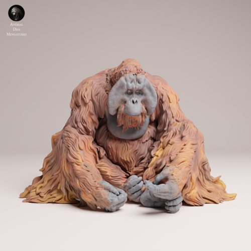 35130722_Sumatran Orangutan Sit 4.png